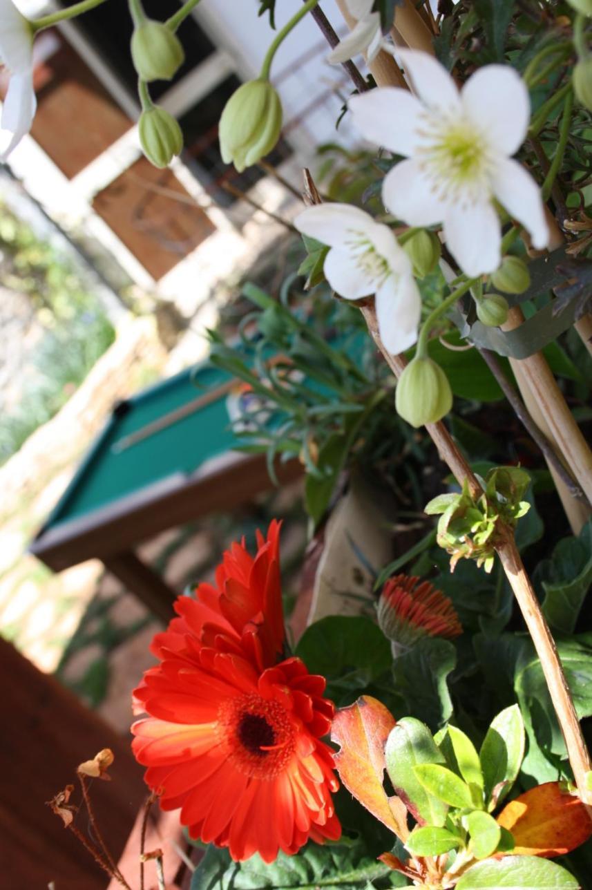 La Cascata Bed & Breakfast Ночи Екстериор снимка